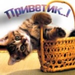 Профайл